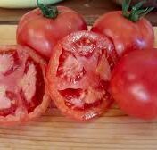 Tomate Rose de Berne